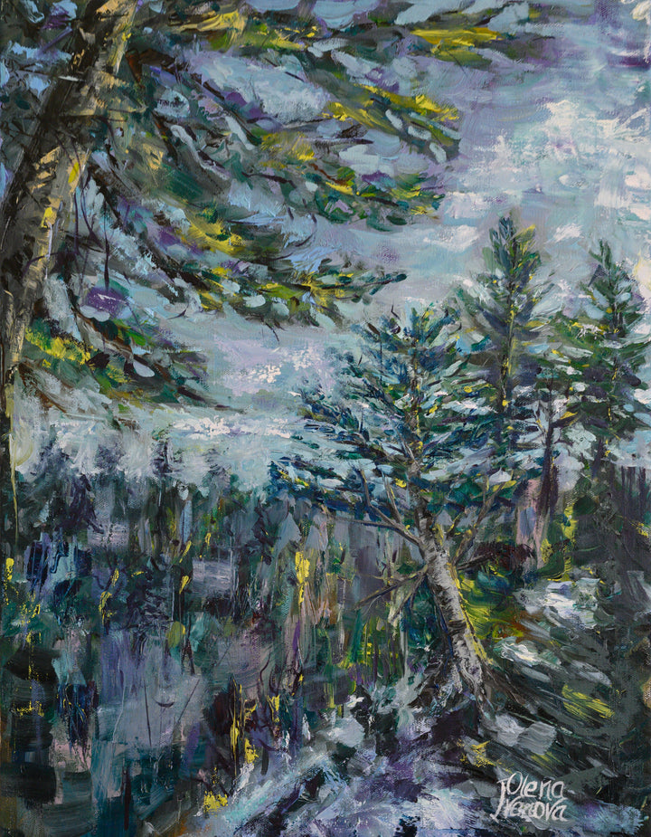 Frost-Tripped Pines
