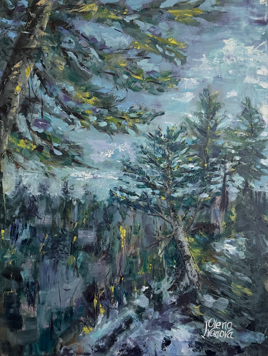 Frost-Tripped Pines