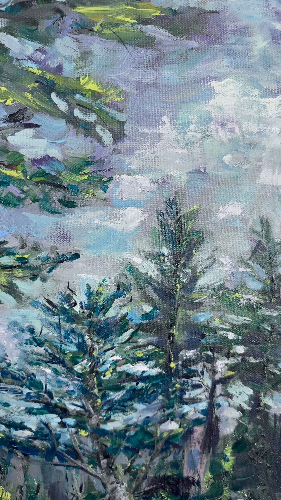 Frost-Tripped Pines