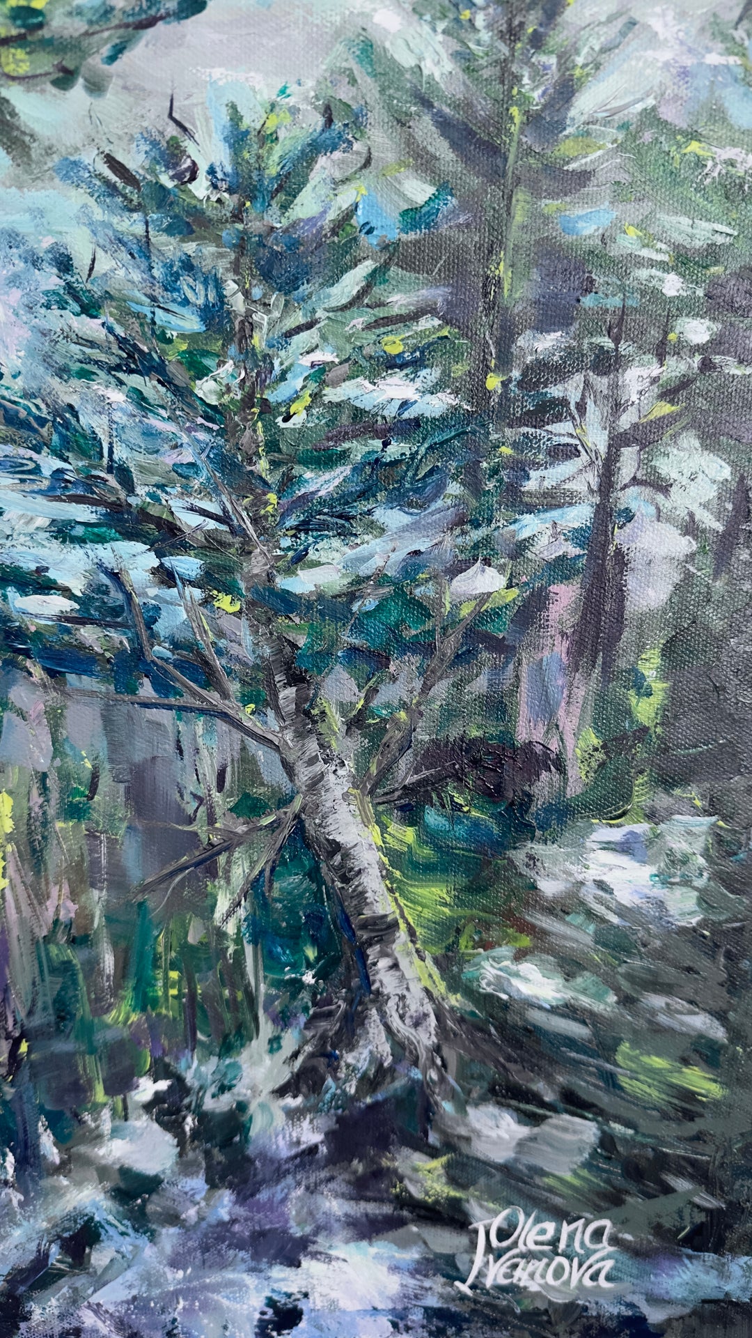 Frost-Tripped Pines
