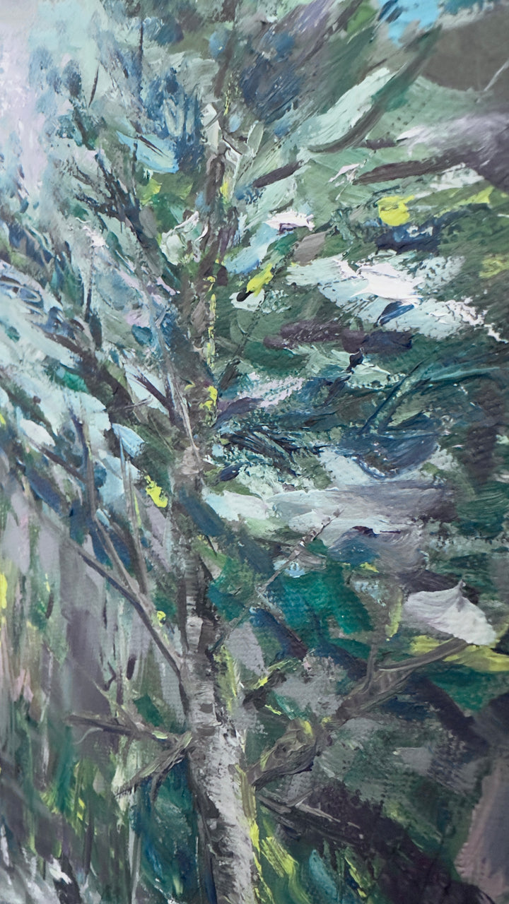 Frost-Tripped Pines